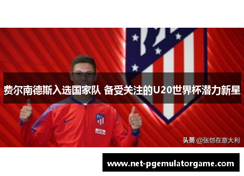 费尔南德斯入选国家队 备受关注的U20世界杯潜力新星 费尔南德斯入选国家队 备受关注的U20世界杯潜力新星