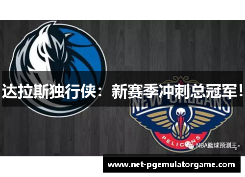 达拉斯独行侠:新赛季冲刺总冠军! 达拉斯独行侠:新赛季冲刺总冠军!
