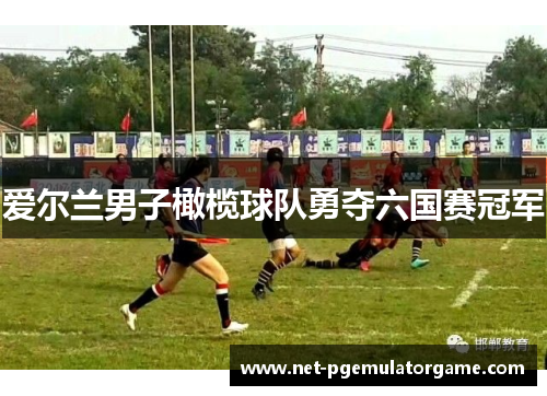 爱尔兰男子橄榄球队勇夺六国赛冠军